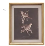 12 Inch Gold Wood Framed Bird Pints (4 Styles)