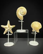Shell Candle Holders