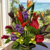 Hawaiian luau (DB)