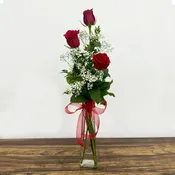 Three Long Stem Roses Arranged in Vase