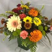 Happy Fall!