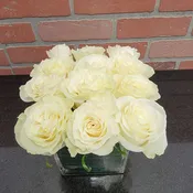 Lovely white Rose's