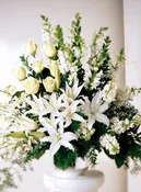 Classic White