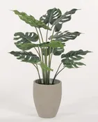 3.5'  Split Leaf  Tree