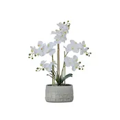 27" White Orchid Arrangement in a Grey Stonelike Planter | Real Touch White Moth Orchids in a Grey Planter by Fiori Sempre