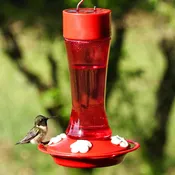 10oz Crimson Hummingbird Feeder