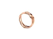 Bird’s Nest Ring — bentons