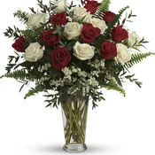 18 red and white long stem roses