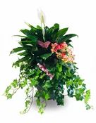 Butterfly Planter Garden