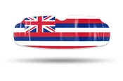 Hawaiian Flag QuickFIT