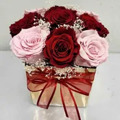Amor Mio (PRESERVED ROSES)