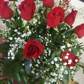 12 Red Roses    Boxed