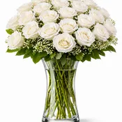 2 Dozen White Roses