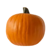 AUTUMN 11.75"H