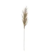 Bristlegrass Branch in Sage