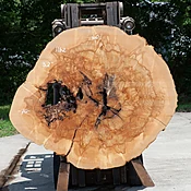 Ash Slab No. 1162