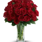 Love and Devotion - 2dzLong Stemmed Red Roses - by Flower Sensation