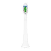 Replacement Adult Brush Head