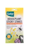 Buy Eco-friendly Houseplant Sticky Stakes — The Zen Succulent | Low Maintenance Greenery At Your Doorstep