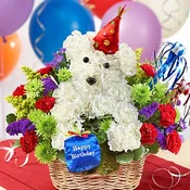 Birthday BR-A009