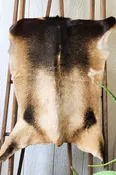 Blonde & Brown Goat Hide Rug #457