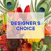 Designer's Choice