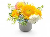 Golden Harvest Blooms