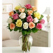 PF 18 Roses Special
