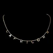 Capricorn Zodiac Necklace