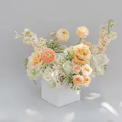 Ranunculus in Heaven