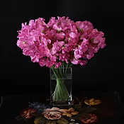 Japanese pink sweet peas — MICHAEL GEORGE