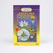Mixed Wildflower Postcard Wholesale