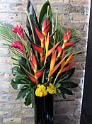 Corporate/Weekly Delivery