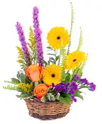 BASKET OF BLOOMS