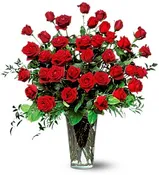 3 DOZEN LONG STEM RED ROSES
