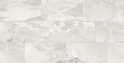 Absolute Absolute White 12 x 24