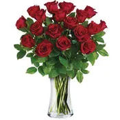 18 Red Signature Roses