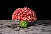 coral double tulips — MICHAEL GEORGE