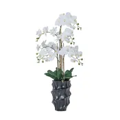 43" White Orchid Arrangement in a Tall Black Planter | Real Touch White Moth Orchids in a Black Planter by Fiori Sempre