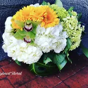 Fun and Happy