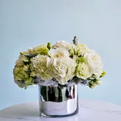 Silver Serenity
