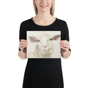 Cheeky "Sheepie" on Canvas