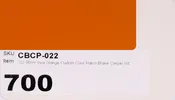 022 BMW Inka Orange Custom Color Match Brake Caliper Paint