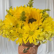 Sunshine