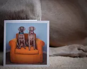Big Orange Chair