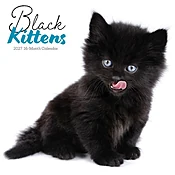 Black Kitties 2027 Wall Calendar