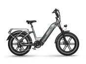 Big Dog eBike | Himiway
