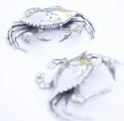 Blue Crabs Salt & Pepper Set