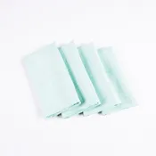 Square Linen Napkins, Mint, Set of 4