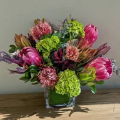 Protea Party